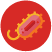 bacterias becterias